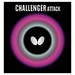 Butterfly Challenger Attack