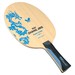 Butterfly Zhang Jike