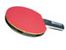 Donic Mini Racket