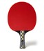 JOOLA Carbon Pro