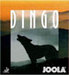 JOOLA Dingo