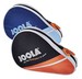 JOOLA Disk 2010