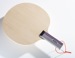 JOOLA Jumbo Autograph Blade