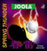 JOOLA Spring Thunder
