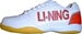 Li-Ning Shoes (2PWC666-1)