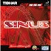 Tibhar Sinus