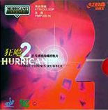 DHS Hurricane 2